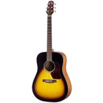 WALDEN – D550TB - <b><span style="font-family: arial; font-size: 8pt;">
<p style="margin: 0in 0in 0pt;"><b><span style="font-family: arial; font-size: 8pt;">Natura Line – 500 Series</span></b></p>
<p style="margin: 0in 0in 0pt;"><b><span style="font-family: arial; color: #1fe0dd; font-size: 8pt;">6 Strings Acoustic Guitar</span></b></p>
</span></b>

